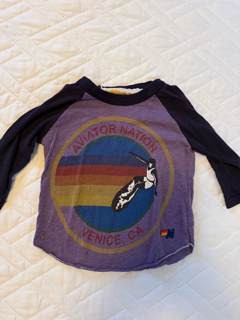 Aviator Nation Purple Raglan Surf Logo Tee With Navy Sleeves